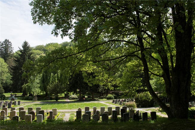 Auf dem Badener Friedhof Liebenfels sollen bis zu 200 muslimische Gräber geben.