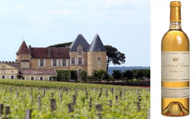 FIRST CLASS: Ein Sauternes vom Château d’Yquem.