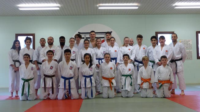 Der Karate Sportverein Balsthal hat am 18.2.17 das 2. Überregionale Spitzentraining im Dojo des Karate Sportvereins Balsthal durchgeführt.