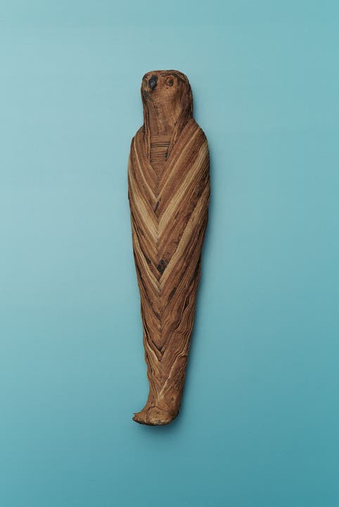 Mumifizierter Sperber (Ägypten) Antikenmuseum Basel und Sammlung Ludwig