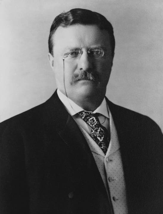 Theodore Roosevelt (1901-1909) Roosevelt ist um den Ausgleich verschiedenster Interessen bemüht. Er empfängt offiziell den ersten Afroamerikaner im Weissen Haus und gründet zahlreiche Naturparks. Für seine Vermittlungen im Russisch-Japanischen Krieg erhält er als erster US-Präsident den Friedensnobelpreis.