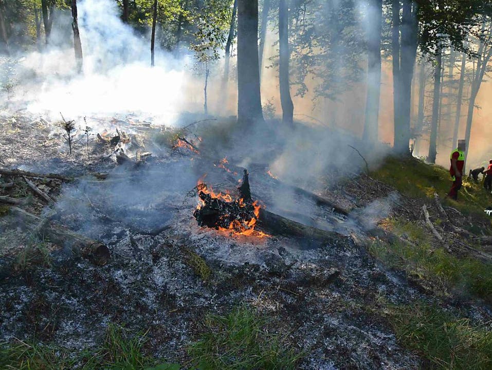 Waldbrand in Kleinlützel