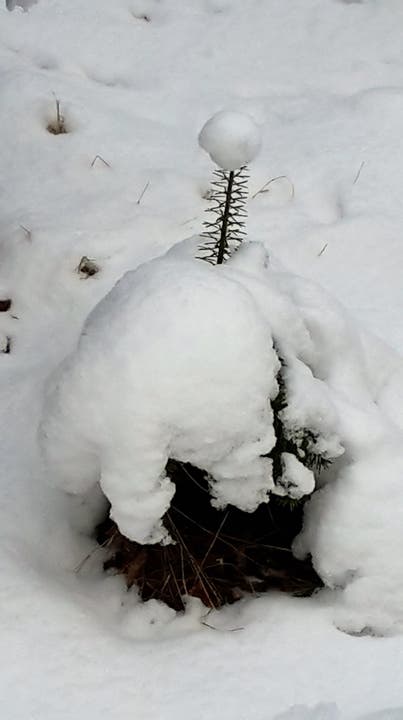 undefined Marsmännchen im Schnee?