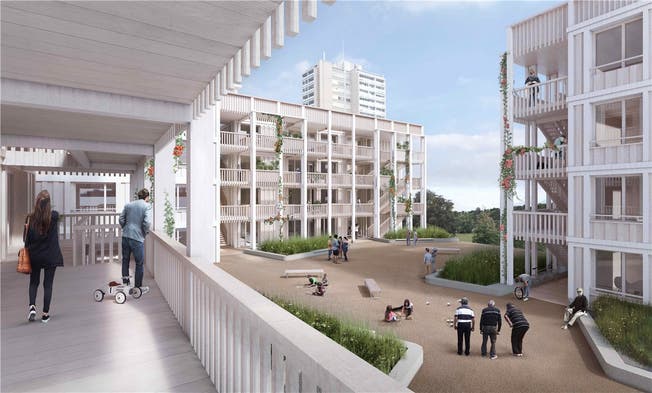 Preisgünstiger Wohnraum, vor allem für Familien mit Kindern: So wird das Brisgi-Areal im Kappelerhof in Zukunft aussehen.ZVG