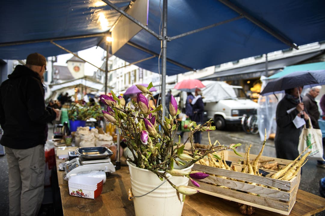 Verregneter Frühlingsmarkt in Solothurn.20