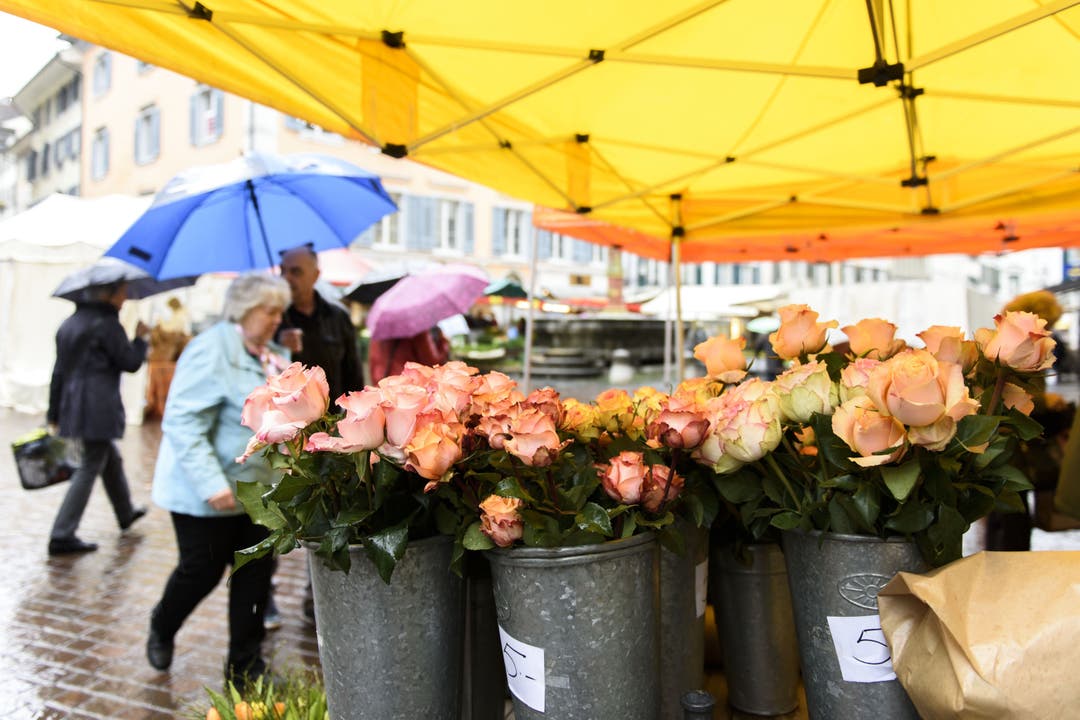 Verregneter Frühlingsmarkt in Solothurn.