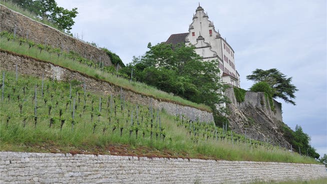 Die Bruchsteinmauern um das Schloss Kasteln sind das grösste Ensemble von Trockensteinmauern in der Deutschschweiz.