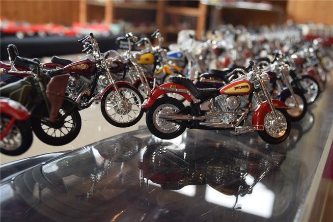 Peter Schmidt besitzt unter anderem 25 Harley-Davidson-Modelle. Für sie sucht er einen Käufer. Fotos: Fabio Vonarburg