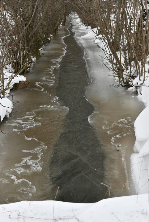 Bei sehr tiefen Temperaturen können auch Fliessgewässer gefrieren: Der Dorfbach von Neuendorf.