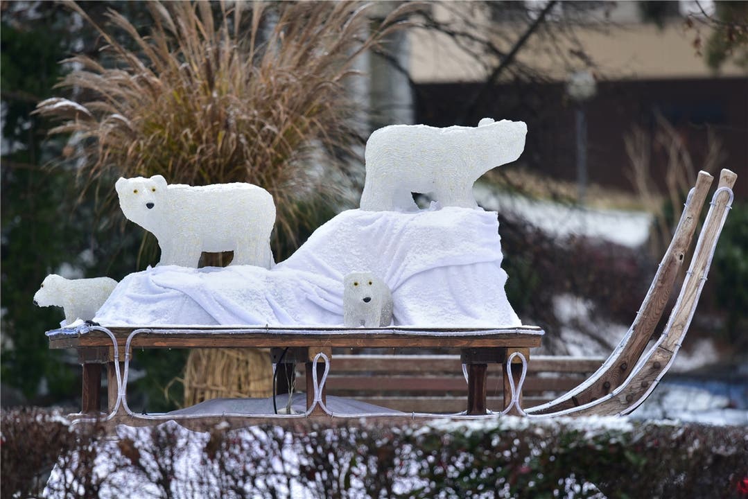 Die Dekoration mit Eisbären wirk mit Schnee um einiges natürlicher.