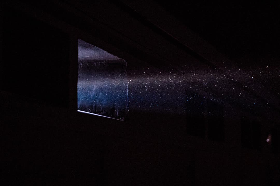Die tanzenden Staubkörner im Licht des Projektors.