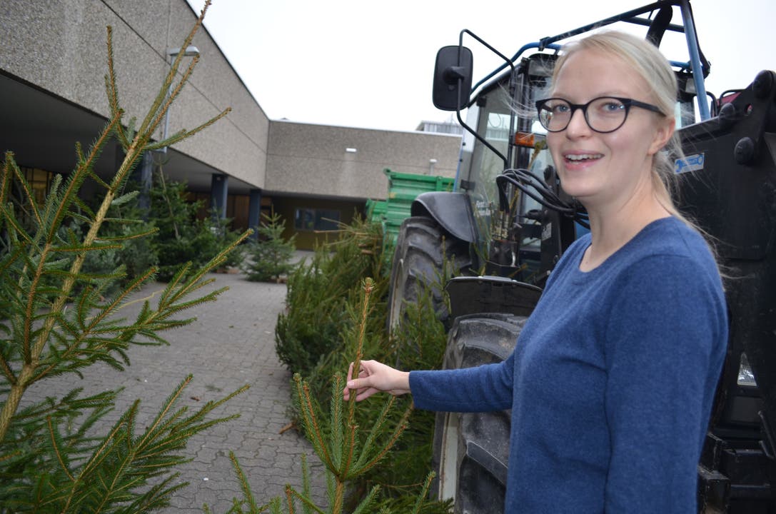 Annemarie Eklund (29) «Der Tannenbaum gehört einfach zu Weihnachten. Und für mich muss es auch ein echter Baum sein. Weil ich es natürlich mag, werde ich ihn schlicht schmücken.»