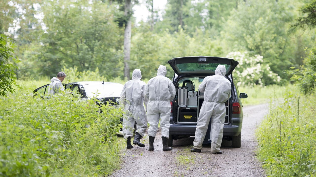 Im Wald von Fislisbach AG ist am Dienstagabend ein 18-jähriger Schweizer umgebracht worden. - Bild zeigt die Spurensicherung bei der Arbeit am Mittwochmorgen.