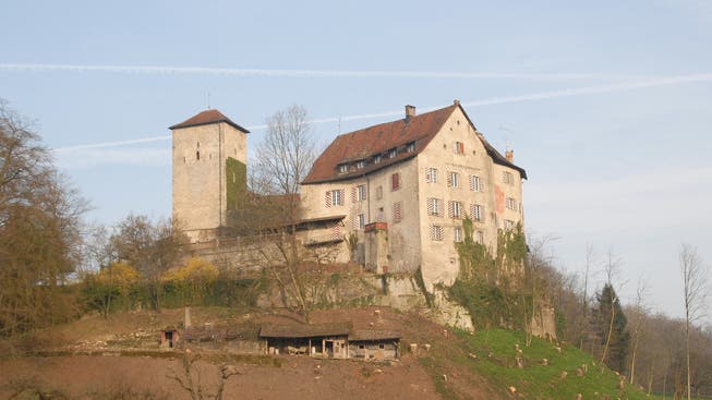 Laut Gemeindeammann Salm ist die Verkehrserschliessung für das Schloss Wildenstein in Veltheim eine grosse Herausforderung. (Archivbild)
