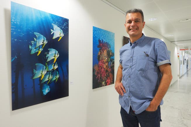 «Fledermausfische» und «Colors 4» von und mit Piero Ambrosone im Kantonsspital Olten bei seiner aktuellen Ausstellung «Wellenlänge».