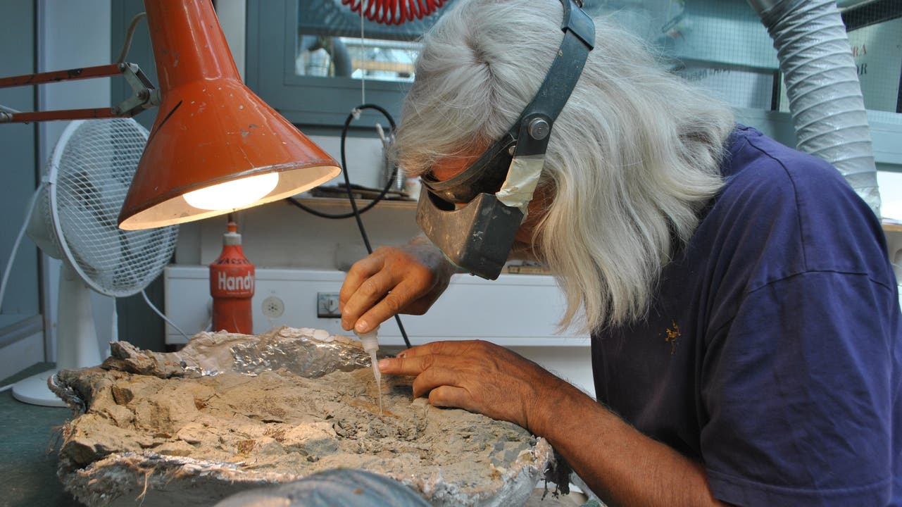 Paläontologe Ben Pabst mit dem präparierten Fuss von «XL», dem riesigen Plateosaurier aus der Fricker Tongrube.