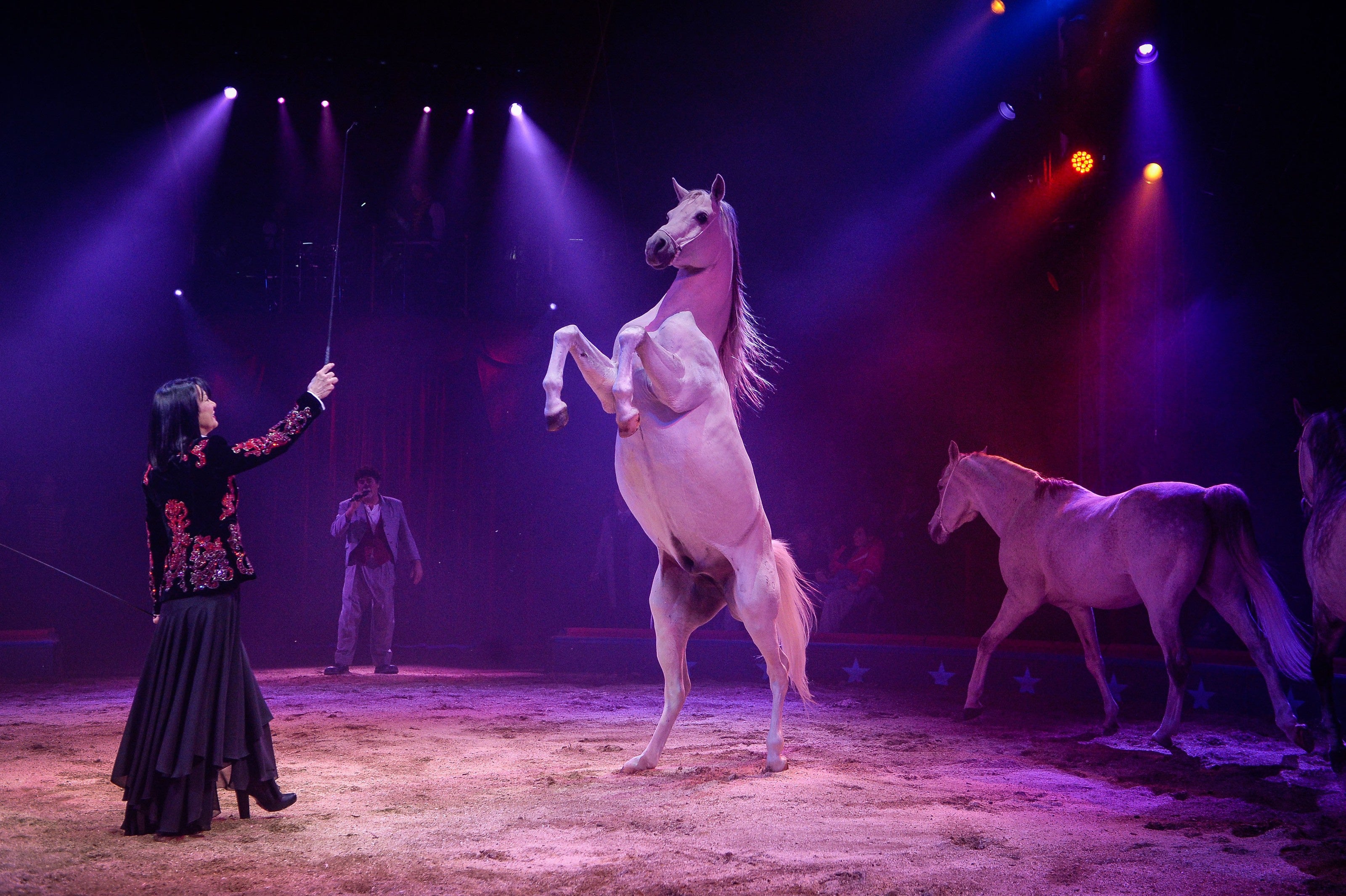 Zirkus Knie - Geraldiné Knie Vor Der Premiere: «Der Bauch Ist Voller ...