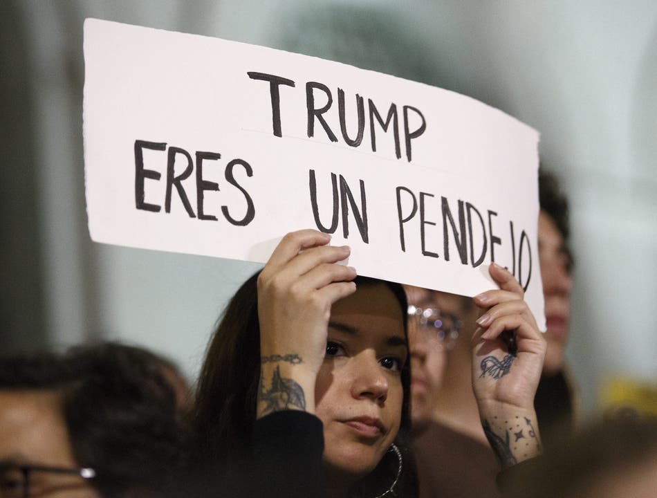 Eine Frau protestiert vor dem City Hall Gebäude in Kalifornien. Auf ihrem Schild zu lesen: "Trump, du bist ein Idiot".
