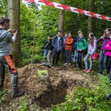 140 Oberstüfeler im Wald: «Wir lieben unsere Wälder»