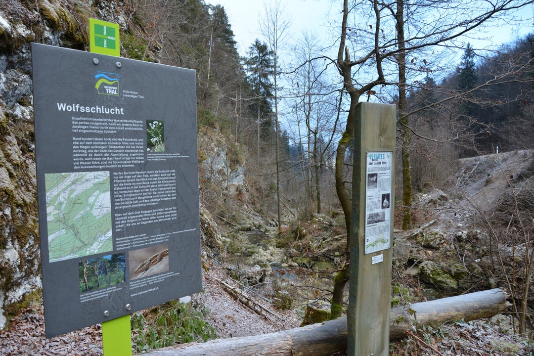 Alte und neue Spuren des Naturparks Thal laden zum Wandern ein.