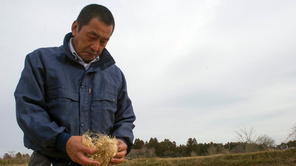 Auch Takashi Mizugai ist Bauer. Er wohnt 18 Kilometer vom zerstörten AKW entfernt. Er pflanzt auf seinen Feldern Jute an. Reis oder Gemüse, das so nahe am Unglücksort wächst, lässt sich nicht verkaufen.