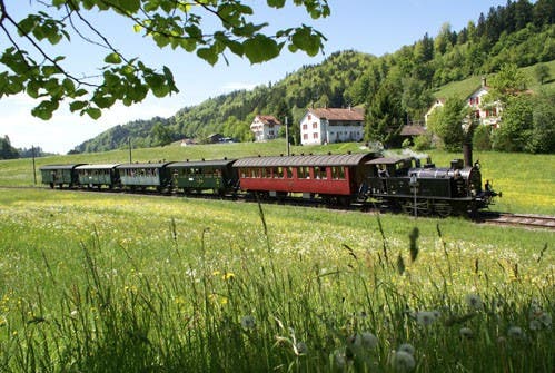 Der Dampfbahn-Verein Zürcher Oberland DVZO Der DVZO führt u.a regelmässige Fahrten von Bauma im zürcherischen Tösstal nach Hinwil durch. Bild © DVZO