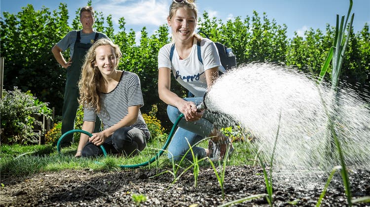 Zwischen Ekel und Inspiration: Wettinger Schüler arbeiten in Gemüsegärten