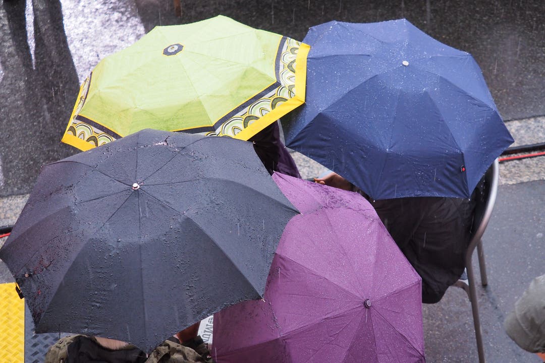 Regenschirme waren ein beliebtes Mitbringsel