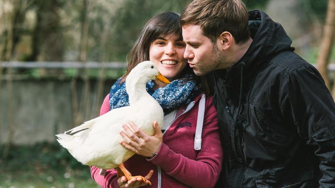 «Das ist einfach brutal»: Antonella Laino und Philippe Meier trauern um Ente Bella, die sie durch ihr halbes Leben begleitet hat.
