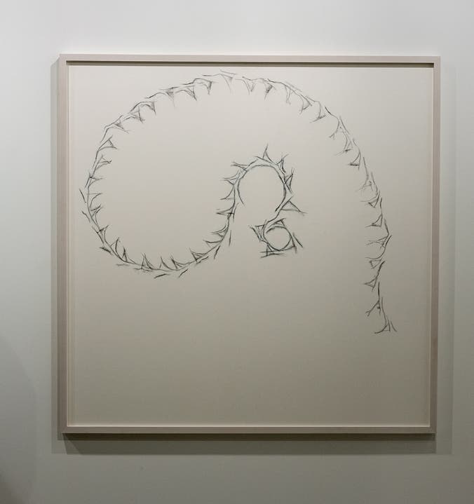 4500 Euro: Anri Sala, «Lines recto verso (Jung, Huxley, Stravinsky)», 2015, Galerie Alfonso Artiaco.