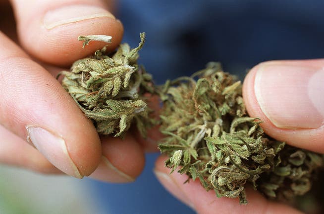 Der Besitz von Cannabis in geringfügiger Menge ist laut Betäubungsmittelgesetz nicht strafbar.