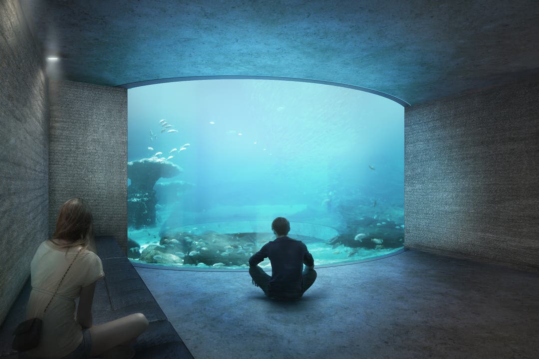 Das geplante Ozeanium wird reich sein an Attraktionen. Schwarm-Aquarium