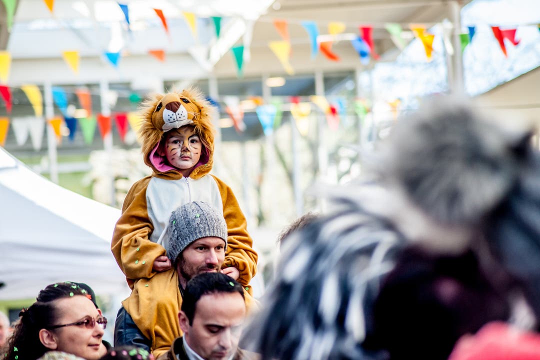 Ein kleiner Löwe am Umzug in Obersiggenthal Kinderumzug der Fasnacht in Obersiggenthal