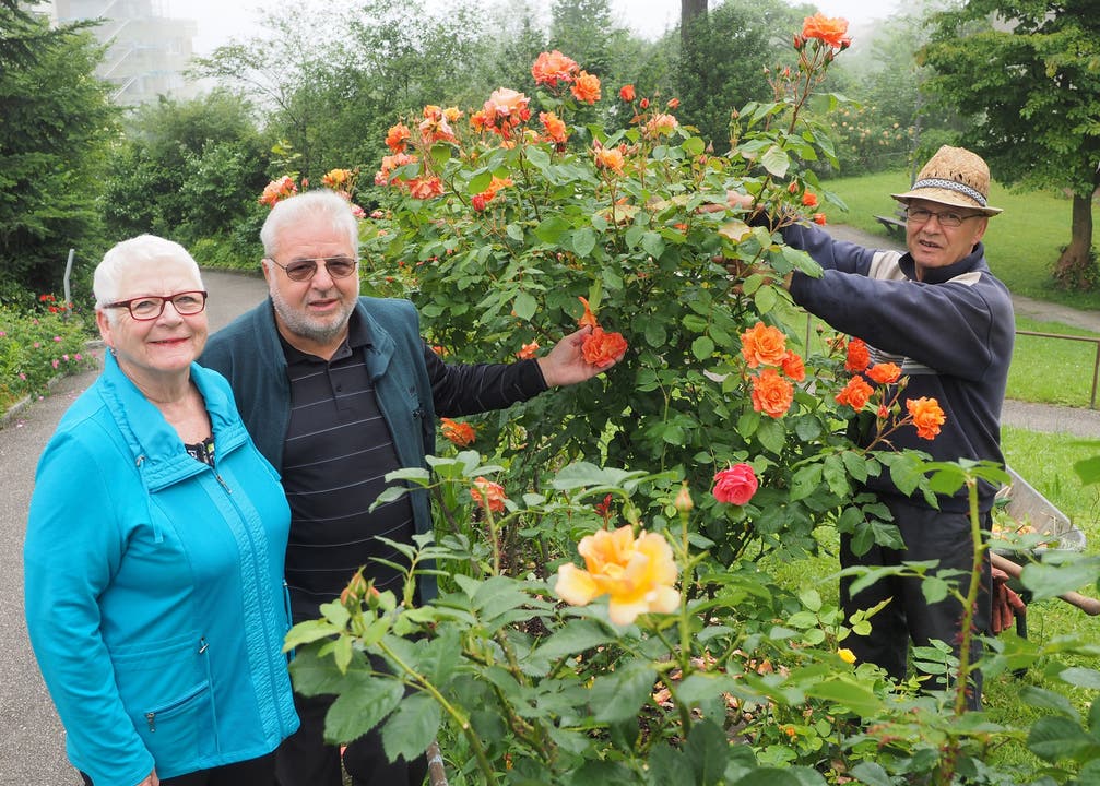 Rose Marie und Rinaldo Begert und Gartenfreund-Kollege Vinzenco Pirroncello laden zum Besuch des grossen offenen Gartens ein.