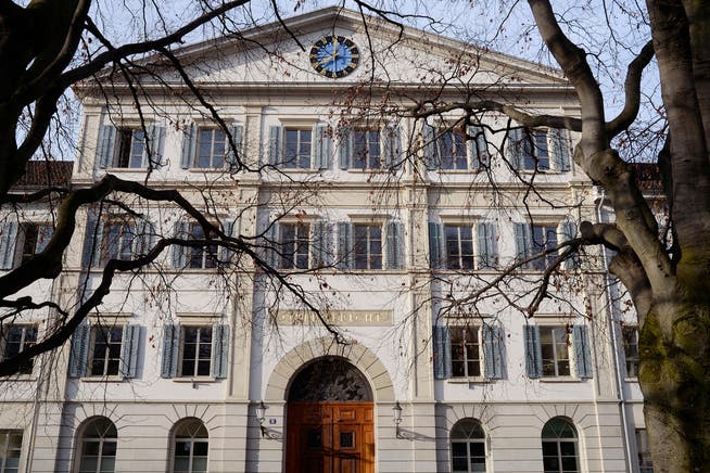 Das Obergericht Zürich verurteilt den Bruder zu achteinhalb Jahren Gefängnis.