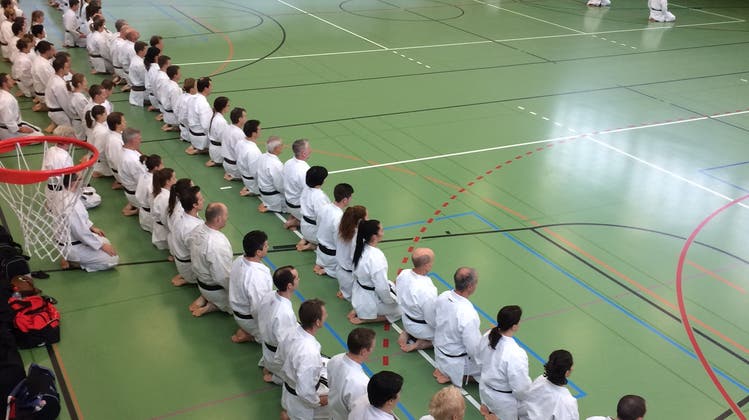 Karate-Kai Lenzburg organisiert erfolgreiches Landestraining