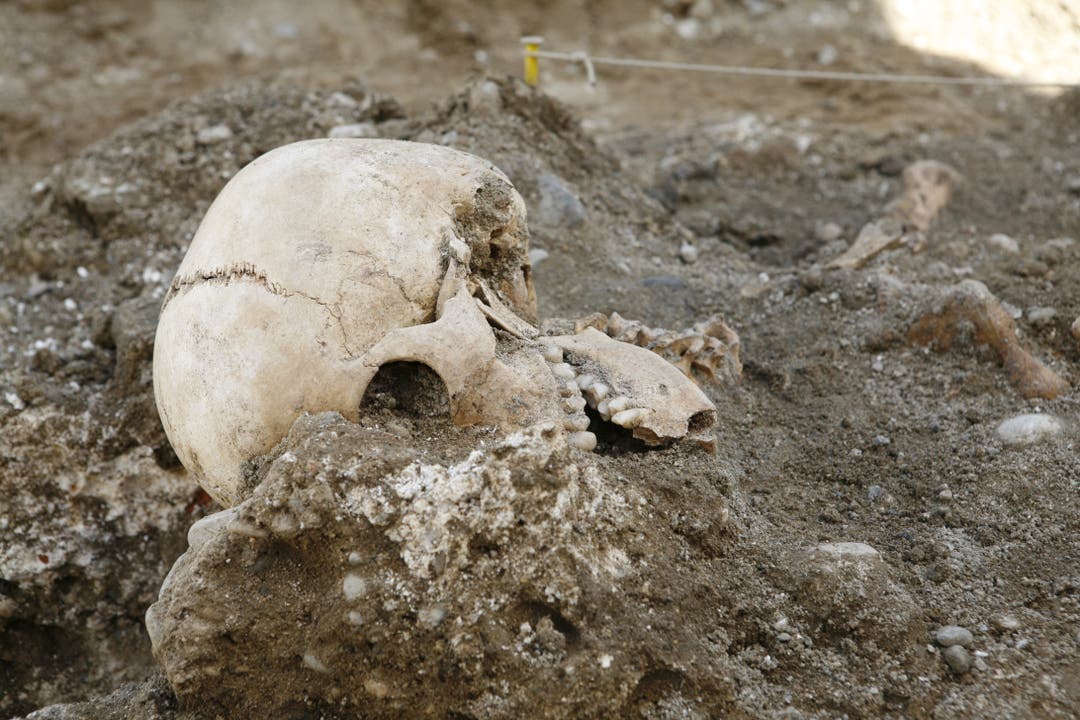 2012 wurden die Skelette in Feldbrunnen ausgegraben