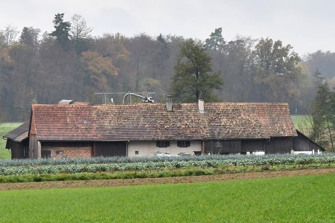 Auf diesem Bauernhof in Boningen lebten die Kühe. (Archiv)
