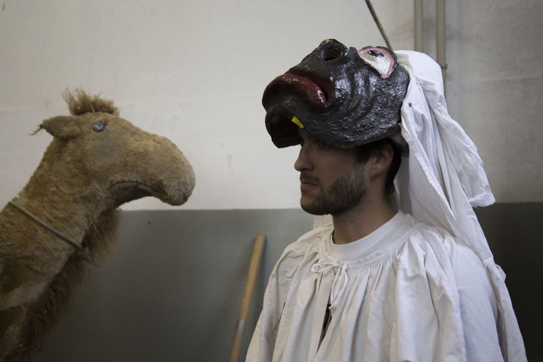 Das Kamel wird von zwei Personen verkörpert - daher braucht es funfzehn Hallbuer für vierzehn Kostüme