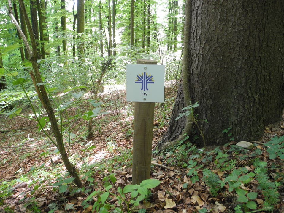 Der Friedwald in Oberramsern ...und das kleine Schild markiert den Beginn des Friedwaldes.
