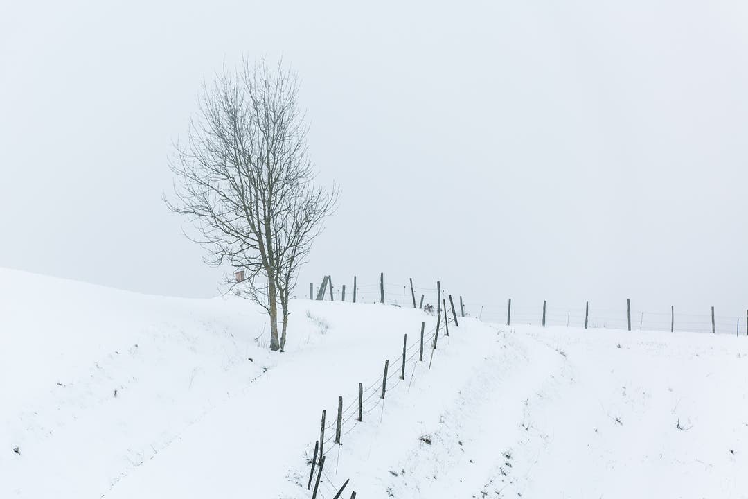 Winter im Aargau Winterlandschaft auf der Staffelegg
