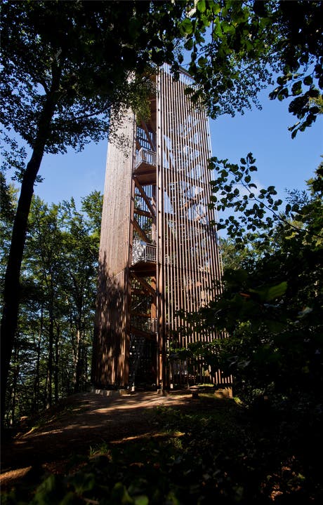 4. Die Welt vom 25 Meter hohen Holzturm auf dem Cheisacher überblicken.