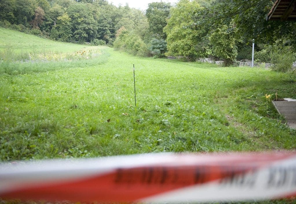 Ein Diensthund der Polizei Basel-Landschaft stellte den Flüchtenden auf dieser Wiese.