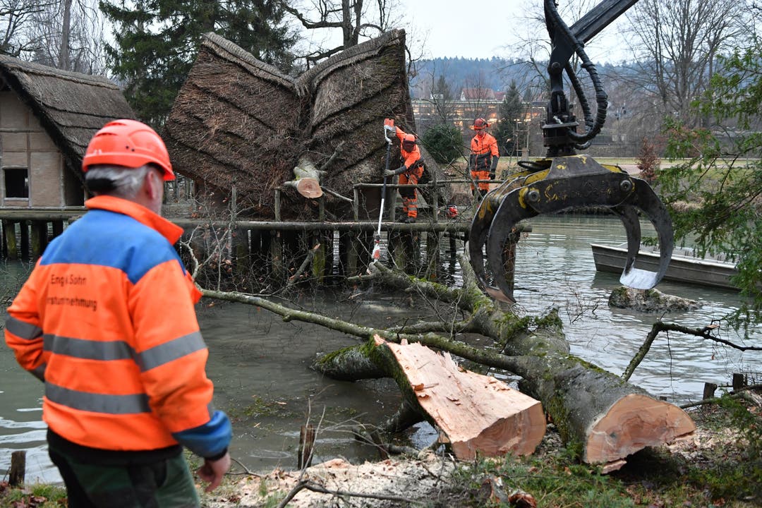  Forstarbeiter befreien die Pfahlbauer-Siedlung vom Baum, der während des Sturms auf das Dach stürzte.