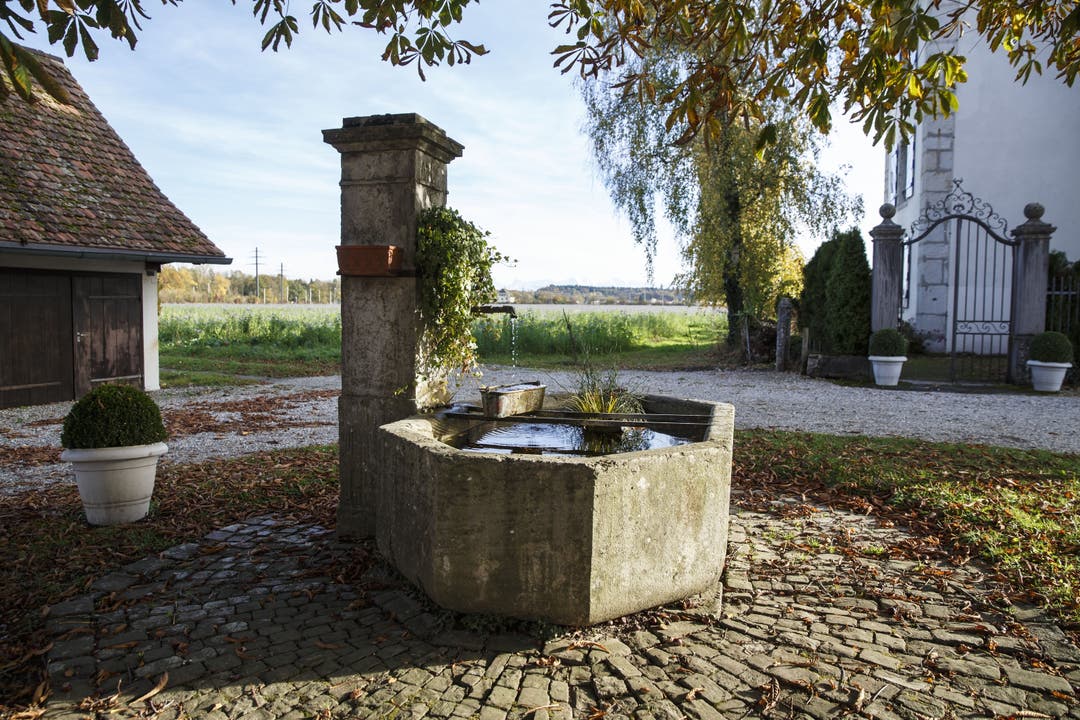 Der Brunnen am Emmenholzweg im Zuchwil, im Hof des Schlösschens