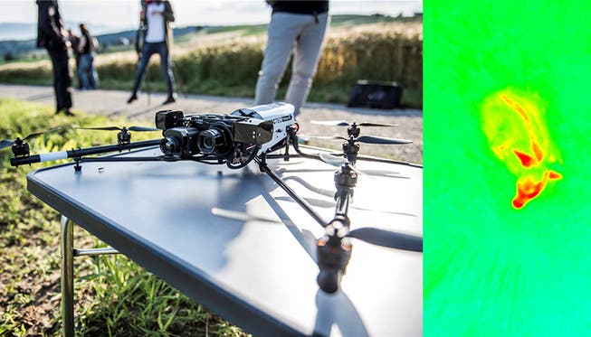 Mittels Drohne und Wärmebildkamera werden Rehkitze in Feldern erkannt und so vor dem Tod durch Mähmaschinen bewahrt.