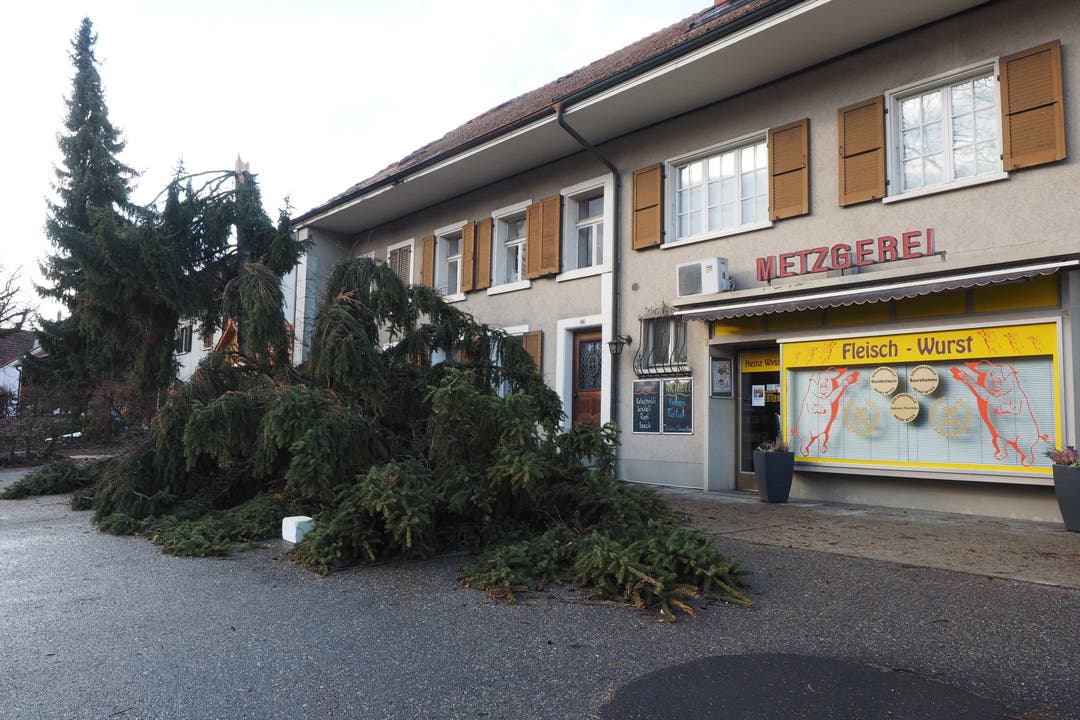 Bei der Dorfmetzgerei in Neuendorf stürzte eine Tanne direkt vor die Ladentür.