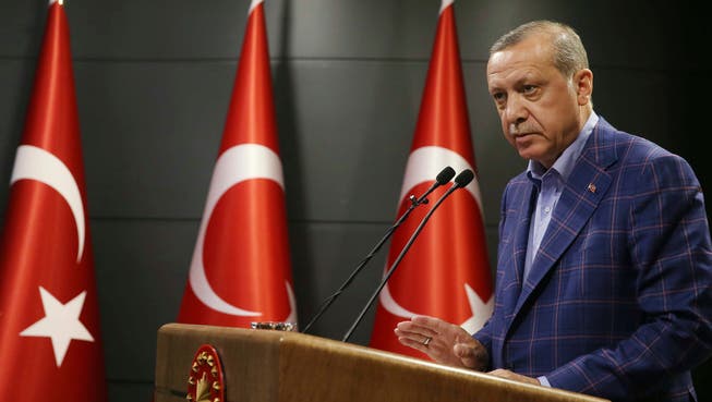 Den türkischen Staatspräsidenten Recep Tayyip Erdogan dürfte das Ergebnis zum Verfassungsreferendum freuen.