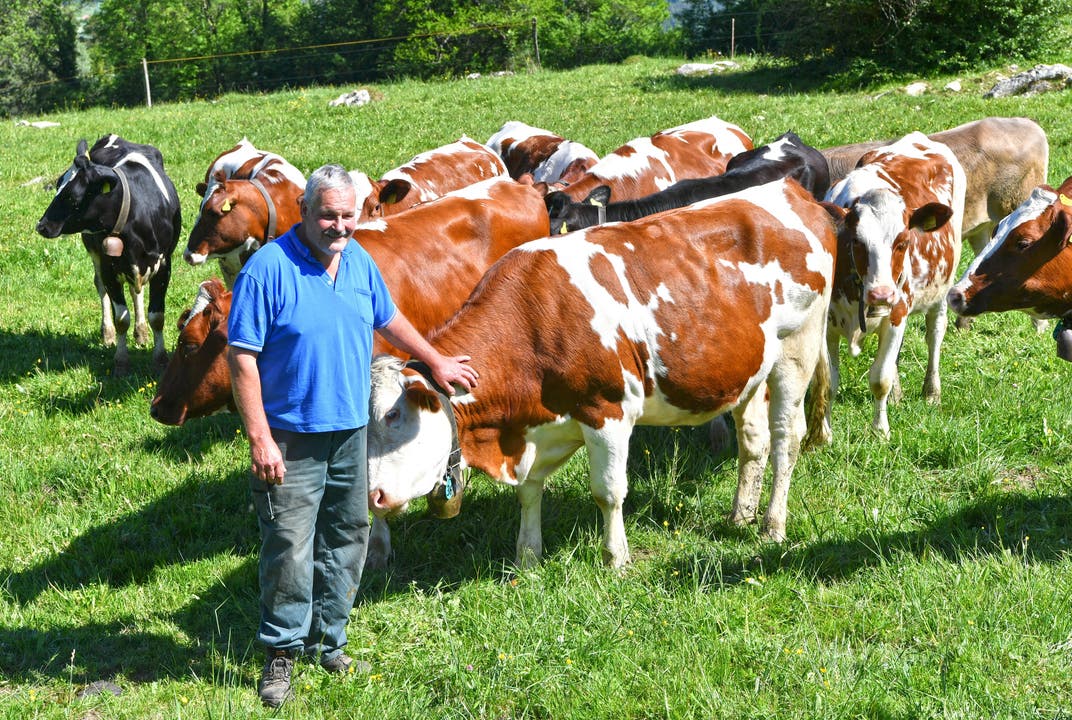 Alphirte Christian Tschumi übersommert neben seinen zwölf eigenen Kühen zusätzlich noch 74 Rinder von verschiedenen Bauern aus der Region und bis in den Kanton Zürich.