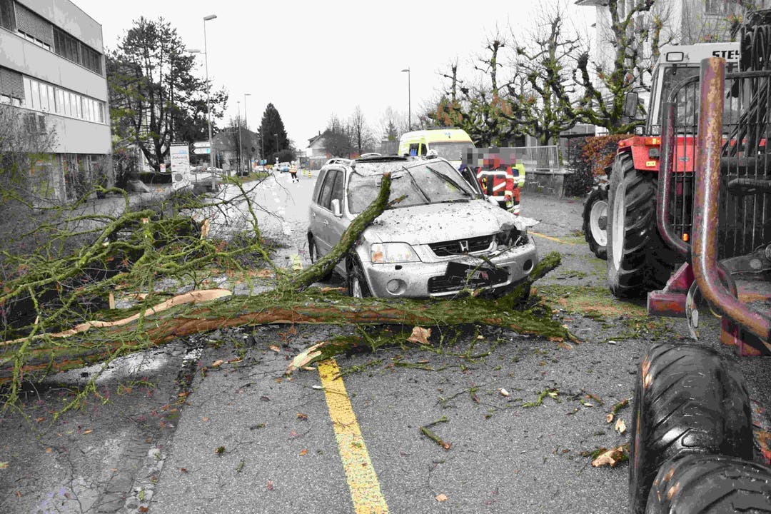 In Biberist fiel ein Baum auf Auto in Biberist – eine Person wurde dabei leicht verletzt.